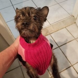 Meet your Posher, Jeanine